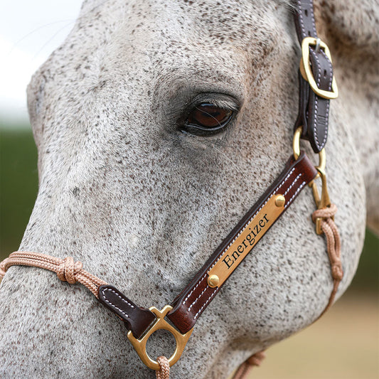 Maison Cheval - Klassiek Leren Halster